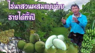 ไร่นาสวนผสมแบบเกษตรอินทรีย์ง่ายมาก รายได้ทั้งเดือนมีกินทั้งปี